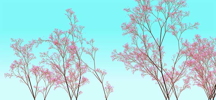 HTML5 Canvas绘制漂亮的樱花树背景特效-精品资源网